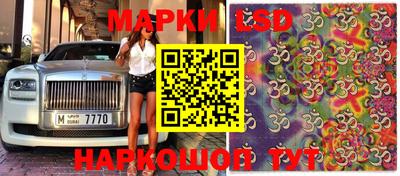 сатива Тверь