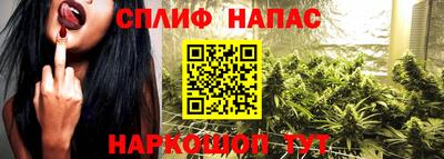 спиды Тара