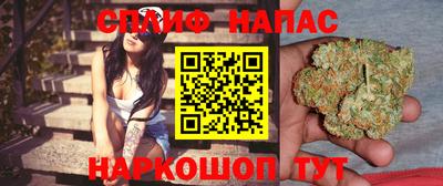 спиды Тара
