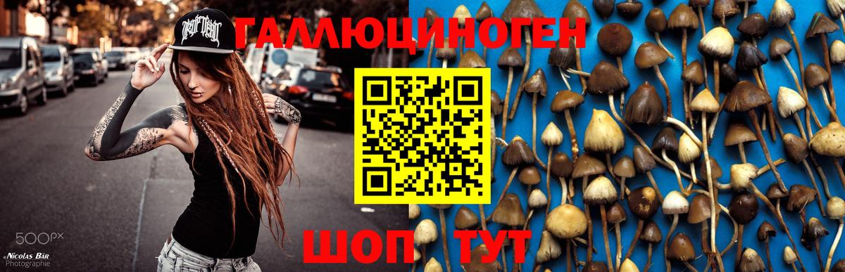 Псилоцибиновые грибы MAGIC MUSHROOMS  Галлюциногенные грибы ЛСД  Татарск  Вход с VPN 